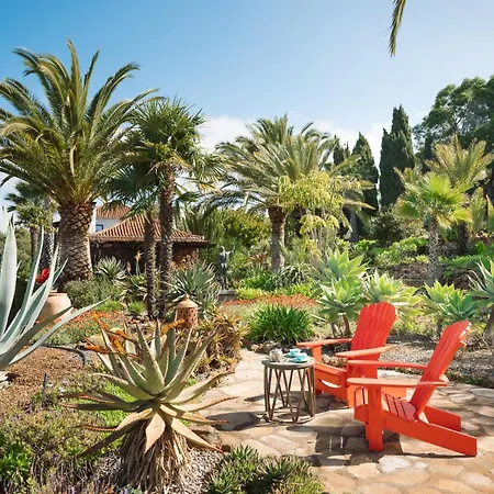 Botanico Puntagorda